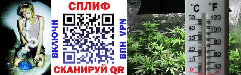 Гашиш Воронеж