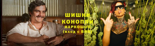 дживик Абаза