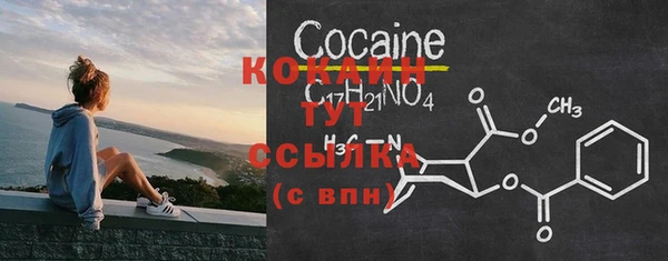 дживик Абаза