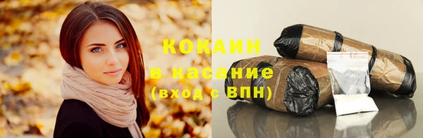 дживик Абаза