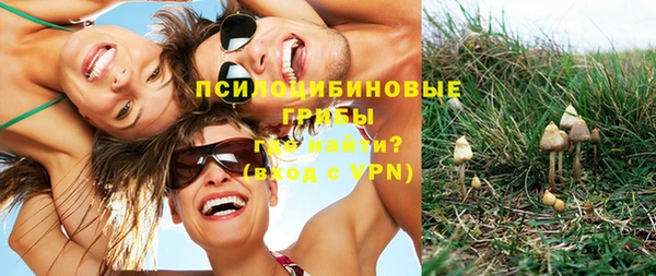 дживик Абаза
