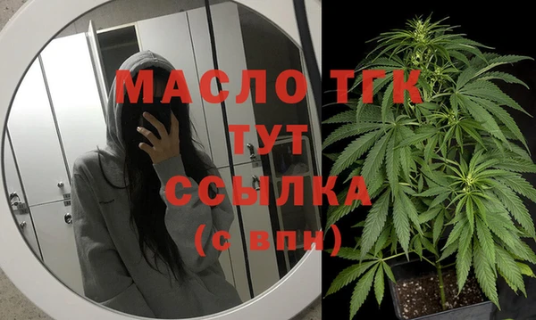 дживик Абаза