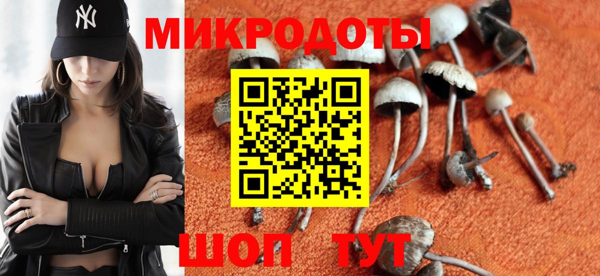Псилоцибиновые грибы Psilocybe Воронеж